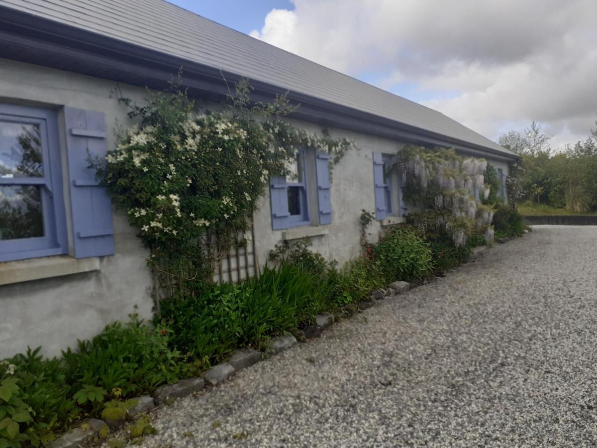 Villa Escape To The Country Westport Exterior foto